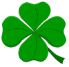 lucky charm: four leaf clover