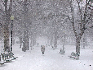 Snowy Boston